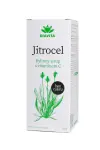 322_DIAVITA JITROCEL BYLINNY SIRUP BEZ CUKRU 225 G